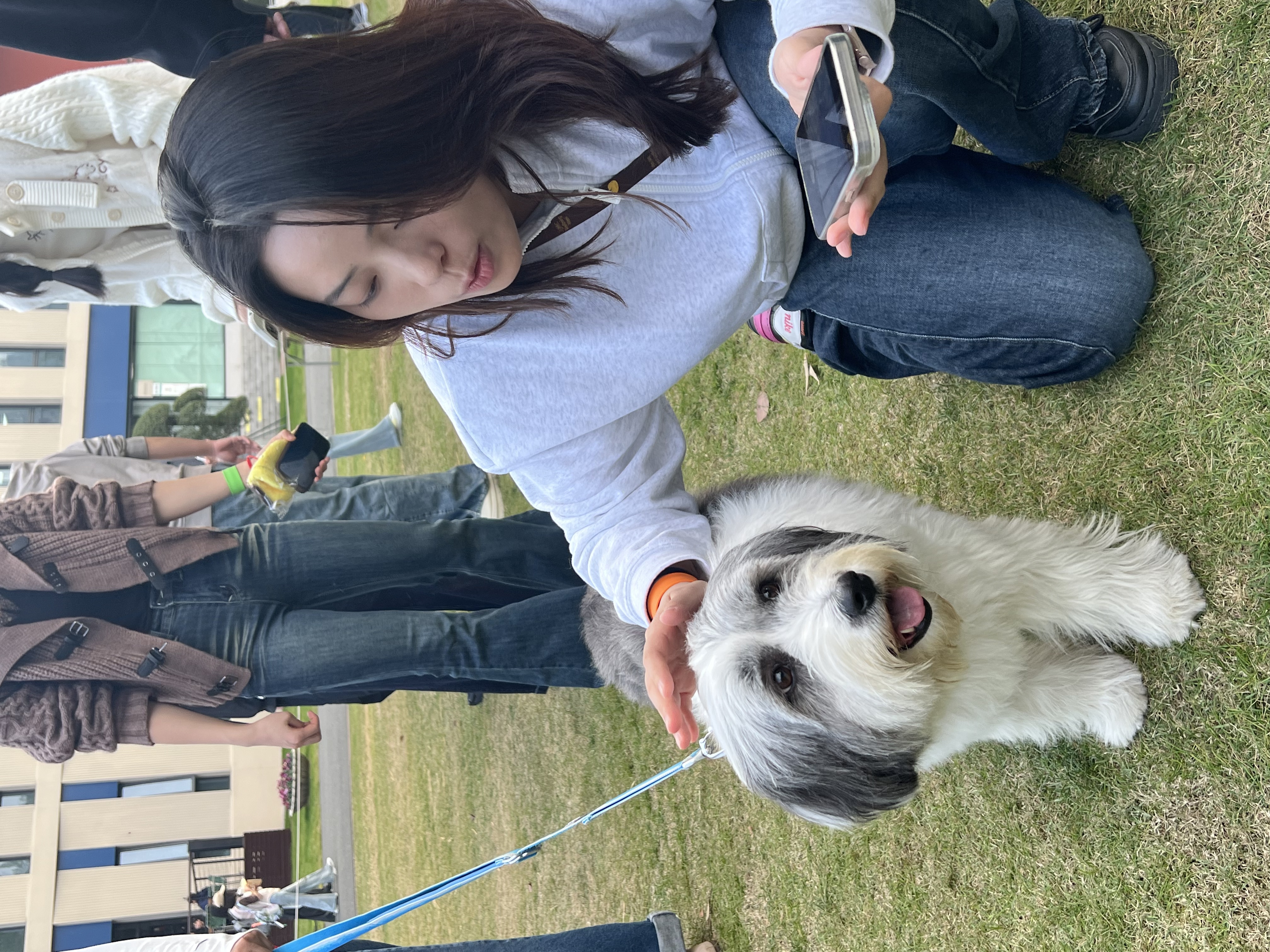 Gloria resting on grass with friends